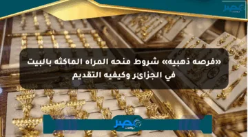 «فرصة ذهبية» شروط منحة المرأة الماكثة بالبيت في الجزائر وكيفية التقديم